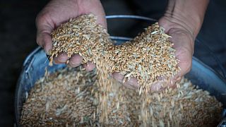 Farmer Serhiy shows his grains in his barn in the village of Ptyche in eastern Donetsk region, Ukraine, Sunday, June 12, 2022