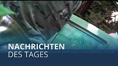 Krieg in der Ukraine