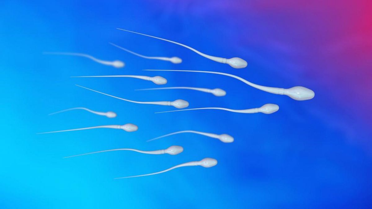 Падение количества сперматозоидов связывают с высоким уровнем химических загрязнителей