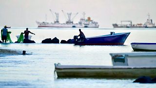 Small-scale fishermen and industrial vessels in Port Louis, Mauritius