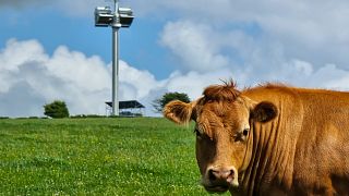 The mast includes a wind turbine and solar panels and could help provide mobile coverage in hard-to-reach places.