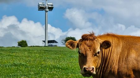 The mast includes a wind turbine and solar panels and could help provide mobile coverage in hard-to-reach places.