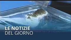 Le notizie del giorno | 14th June - Serale