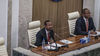 Ethiopia PM says committee looking into possibility of peace talks with Tigray rebels
