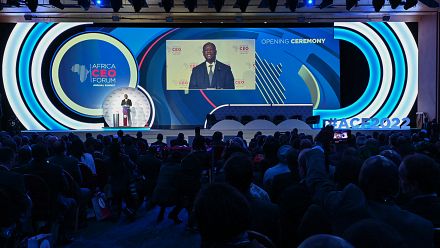 Ivory Coast: Economic, political actors engage as Africa CEO forum kicks off