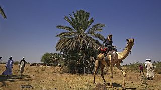 Tribal clashes kill at least 145 in Sudan
