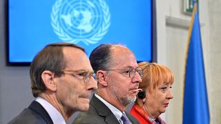 Члены Следственной комиссии ООН