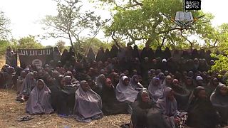 Nigerian army rescues abducted chibok girl in Borno