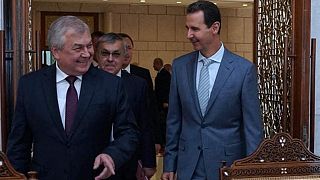 Rusya'nın Suriye Özel Temsilcisi Alexander Lavrentyev Suriye Devlet Başkanı Beşar Esad'la birlikte / Arşiv