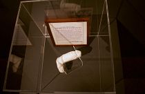 Jimi Hendrix's erect penis on display