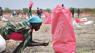 صورة من الارشيف-امرأة تلتقط حبوب الذرة من الأرض بعد إسقاط غذاء جوي من قبل برنامج الأغذية العالمي في بلدة كانداك، جنوب السودان.