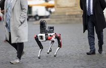 ARCHIVO - Spot, un robot con movimientos similares a los de un perro, camina por la plaza Domplatz en Erfurt, Alemania, el martes 20 de abril de 2021.