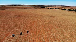FILE - Farm employees spread fertilizer on a farm in Gerdau, North West province, South Africa, Nov. 19, 2018.