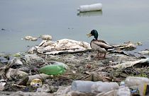 ONU redobra esforços no combate à poluição plástica