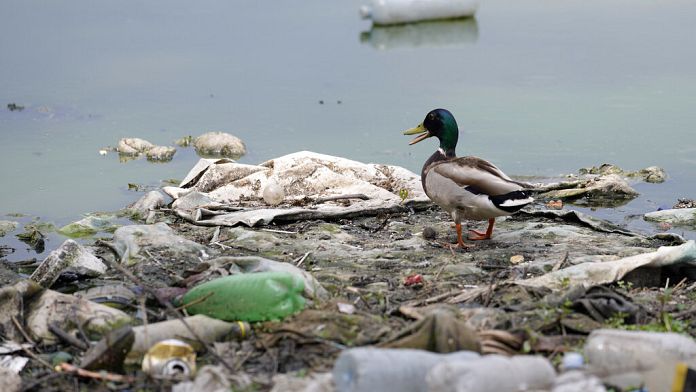 ONU reforça combate à poluição plástica