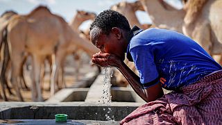Kenyai pásztorfiú iszik egy sivatagi víztöltőpontnál