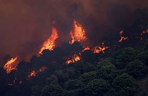موچ گرما و آتش‌سوزی‌های جنگلی در اسپانیا