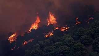 موچ گرما و آتش‌سوزی‌های جنگلی در اسپانیا