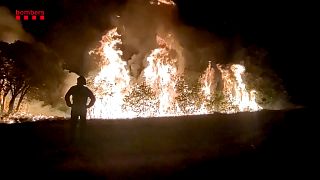 Fires rage through vast woodlands in northern Spain