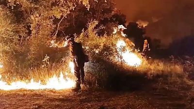 Fogo ganha força na serra de la Culebra, em Espanha