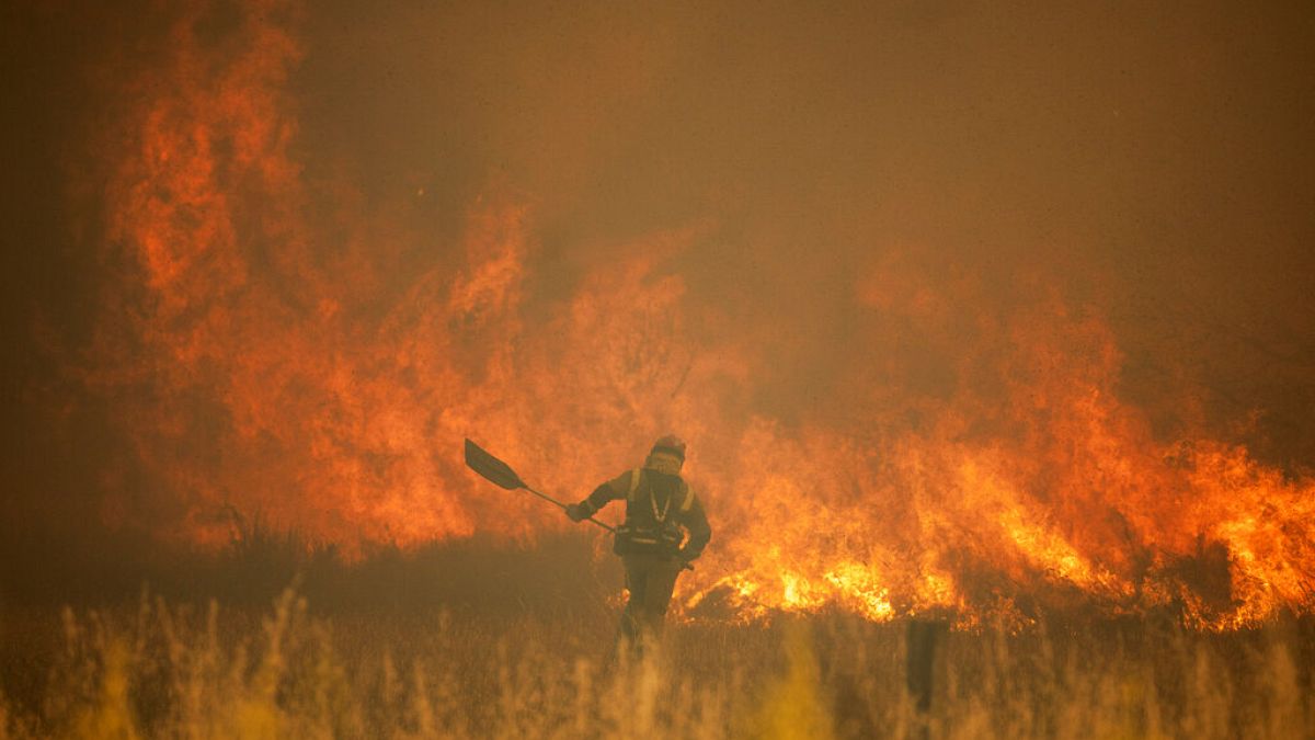 İspanya'nın Zamora kentinde çıkan orman yangınına müdahale eden bir itfaiyeci / 18 Haziran 2022