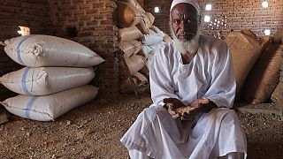 Sudan's wheat harvest at risk of going to waste