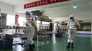 Sağlık sistemi çok da iyi olmayan ve halkın Covid-19'a karşı aşılanmadığı Kuzey Kore'de büyük bir salgın yaşanması insani krize yol açabilir