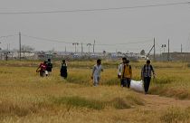 Kıbrıs'ın güney kesimindeki Purnara Mülteci Kampı yakınlarında yürüyen mülteciler