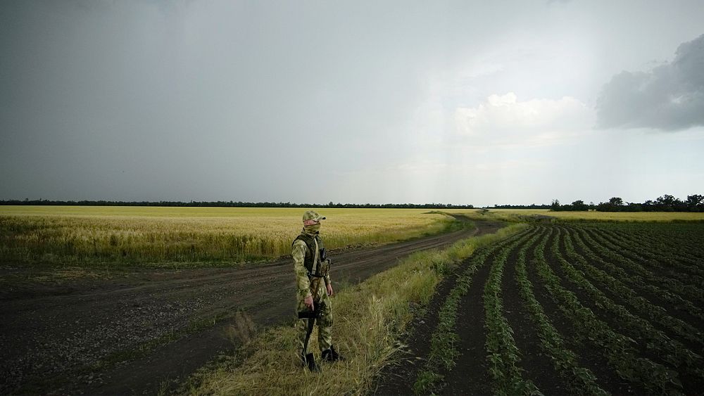 food-prices-soar-as-russia-s-ukraine-invasion-halts-grain-exports