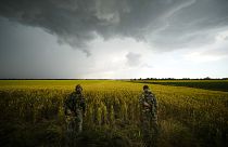 Российские военные в полях Запорожья в Украине 14 июня 2022