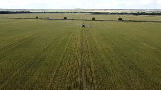 Campo de cultivo de trigo en Ucrania