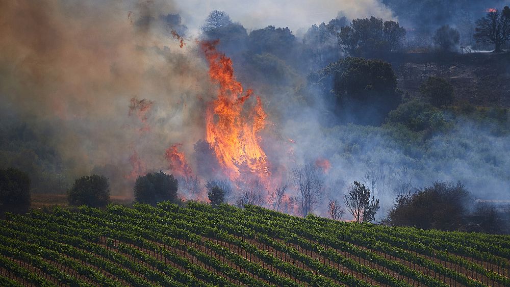 Il y a des incendies en Espagne, en France, en Italie – et dans le Brandebourg