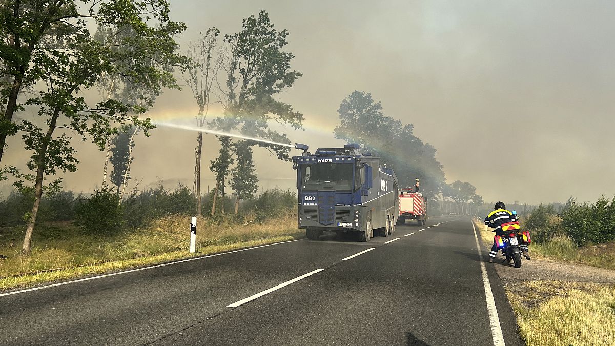 عناصر الإطفاء تعمل على إخماد النيران في غابة تريوينبرايتزن  - ألمانيا. 2022/06/19