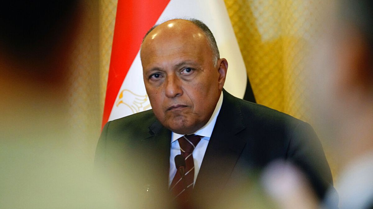 O υπουργός Εξωτερικών της Αιγύπτου, Σάμεχ Σούκρι