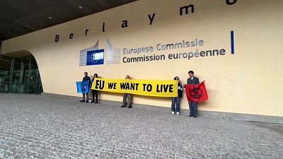 Extinction Rebellion demonstrators protest in front of the European Commission