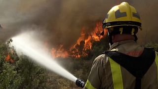 İspanya'da son 20 yılın en sıcak günleri yaşanırken çıkan orman yangınlarında yüzlerce hektar yeşil alan kül oldu.