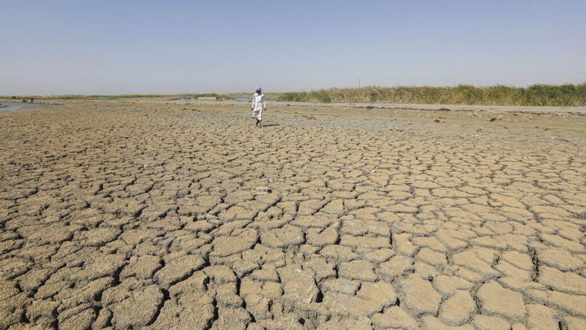 Ξηρασία στο νότιο Ιράκ