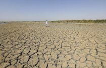 Ξηρασία στο νότιο Ιράκ