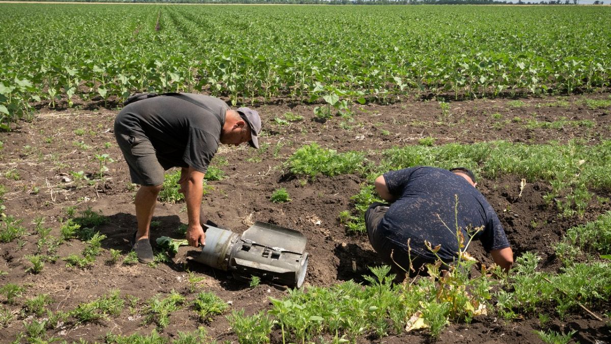 Farmers inspect a Russian rocket fragment after shelling on a sunflower field in Donetsk region, Ukraine, Tuesday, June 21, 2022.