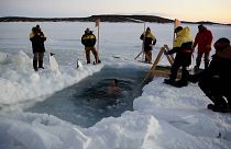 شیرجه در آبهای یخ‌زده قطب جنوب
