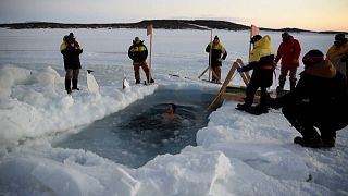 Australian Antarctic mission take traditional icy plunge