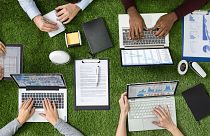 How do you become a green business?