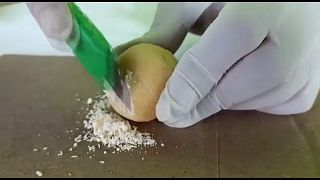 La policía cortando una patata donde aparece la cocaína