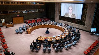 نشست سازمان ملل در تاریخ ۲۱ ژوئن با موضوع حفظ صلح و امنیت در اوکراین