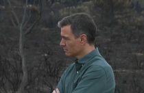 Sánchez recorre la zona arrasada por el incendio en Sierra de la Culebra en Zamora