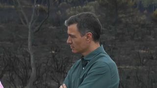 Sánchez recorre la zona arrasada por el incendio en Sierra de la Culebra en Zamora