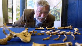 Archives : Yves Coppens devant le squelette de Lucy, à Carnac à l'occasion d'une exposée consacrée à cette australopithèque, en juillet 2004 