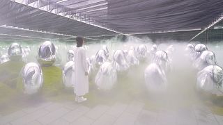 TeamLab Phenomena Abu Dhabi o el 'nuevo hogar del mundo para la curiosidad infinita'