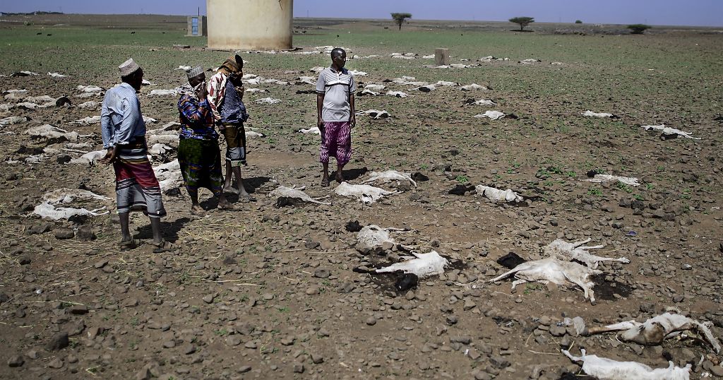 Climate change exacerbates illegal immigration-Experts - Vimarsana News