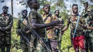 Congolese armed groups react to the deployment of regional force in Eastern DRC